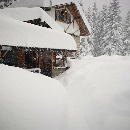 Villa Lovna Hut Panichishte Exterior foto