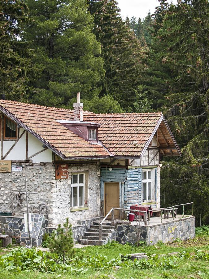 Villa Lovna Hut Panichishte Exterior foto