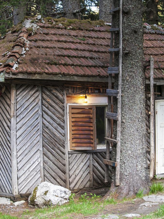 Villa Lovna Hut Panichishte Exterior foto
